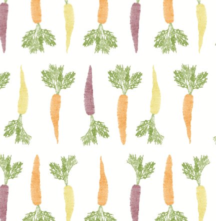 Colorful Carrots - Dear Perli